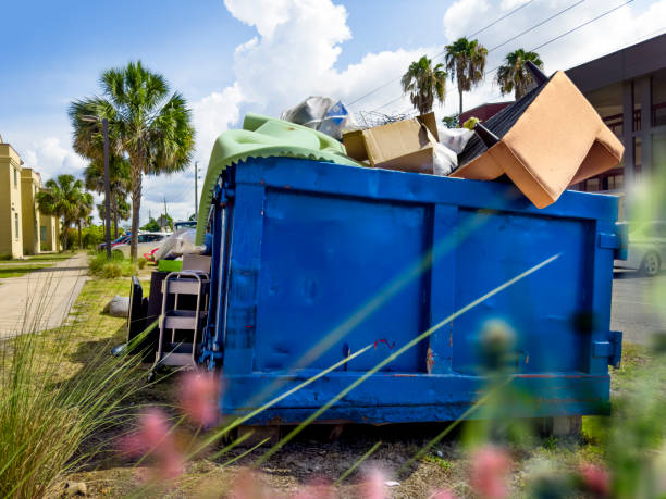 Debris Removal in Lincolnton, GA